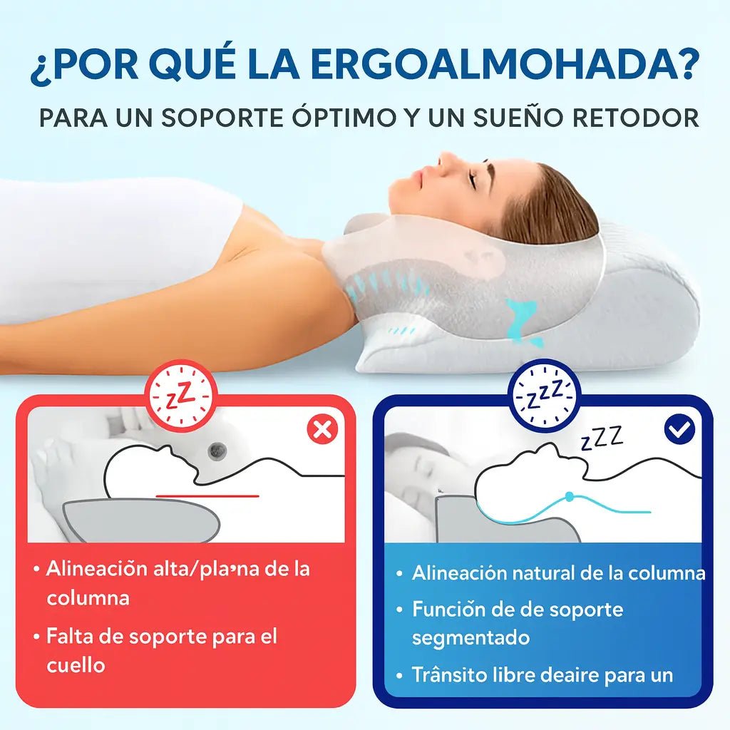 ErgoCloud | Cojín Confort - Meriva 🇲🇽